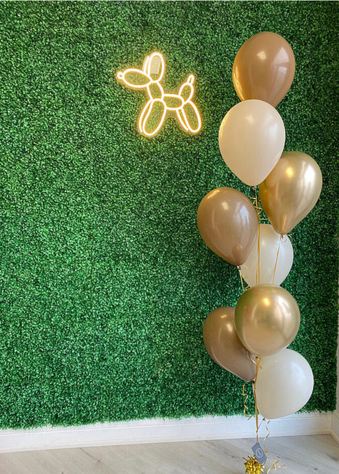 6PC LATEX BALLOON BOUQUET