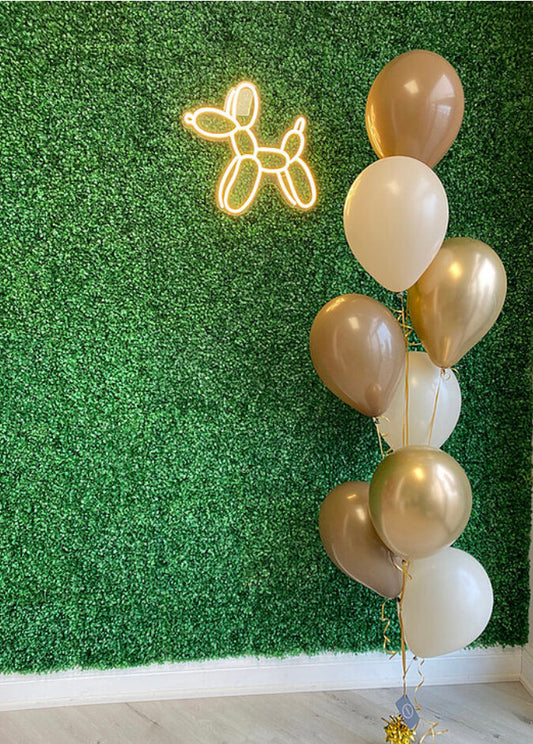 6PC LATEX BALLOON BOUQUET